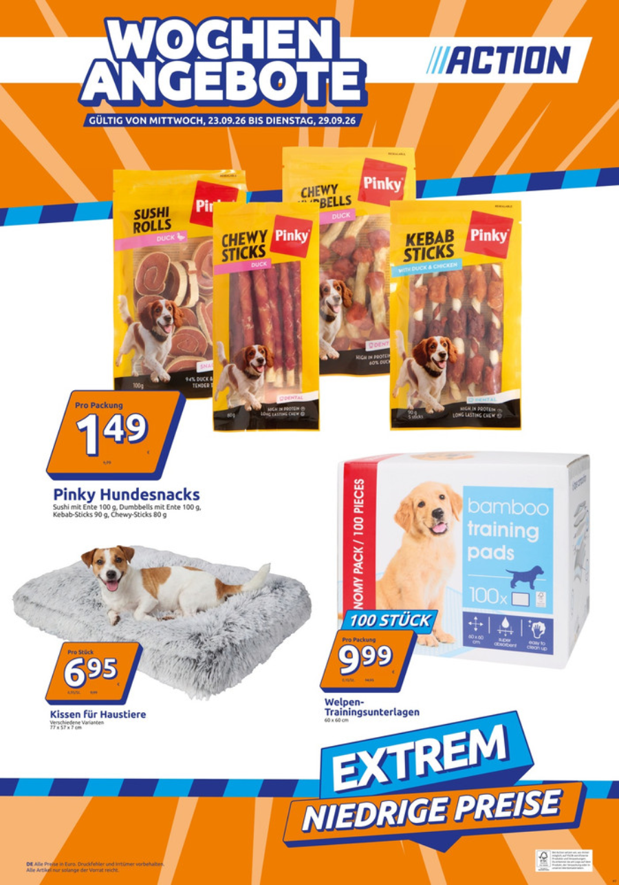 ACTION Prospekt – Seite 7