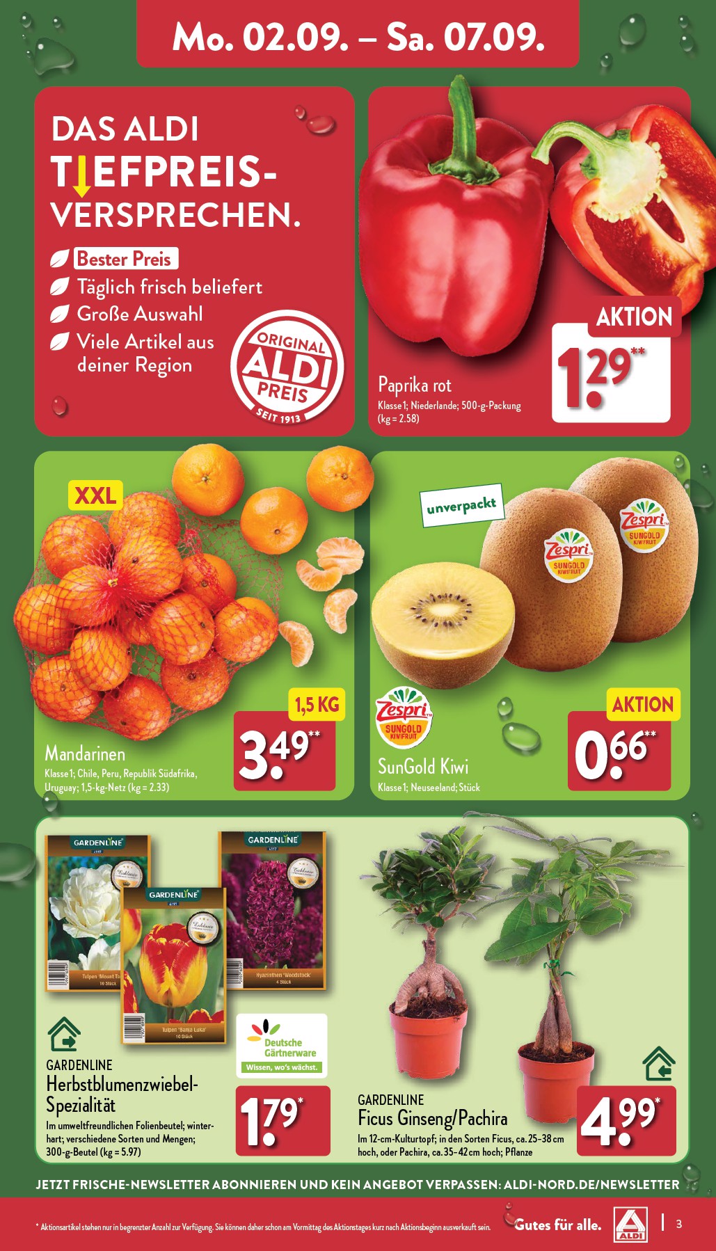 Aldi Nord Vorschau – Seite 3
