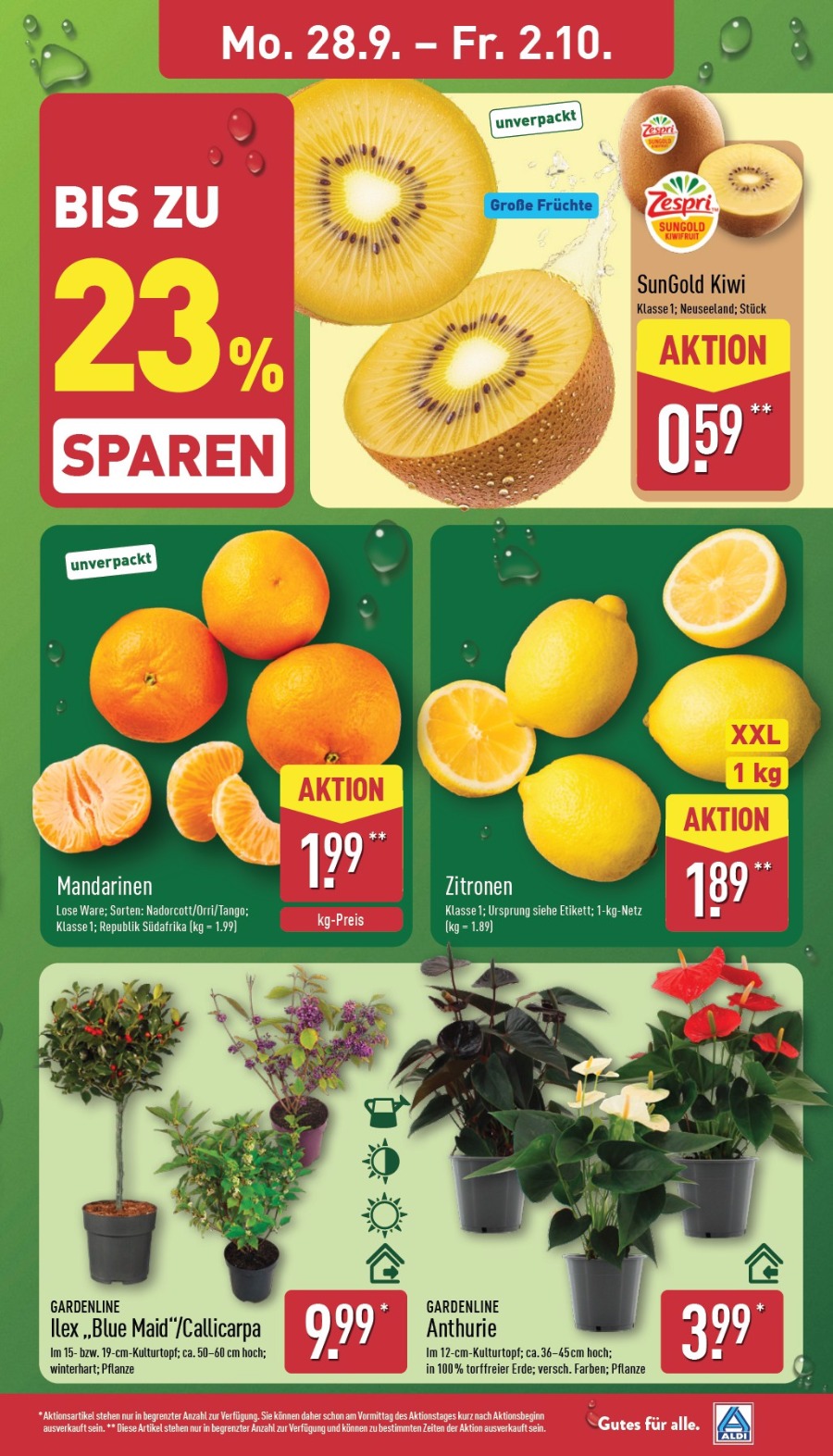Aldi Nord Vorschau – Seite 3