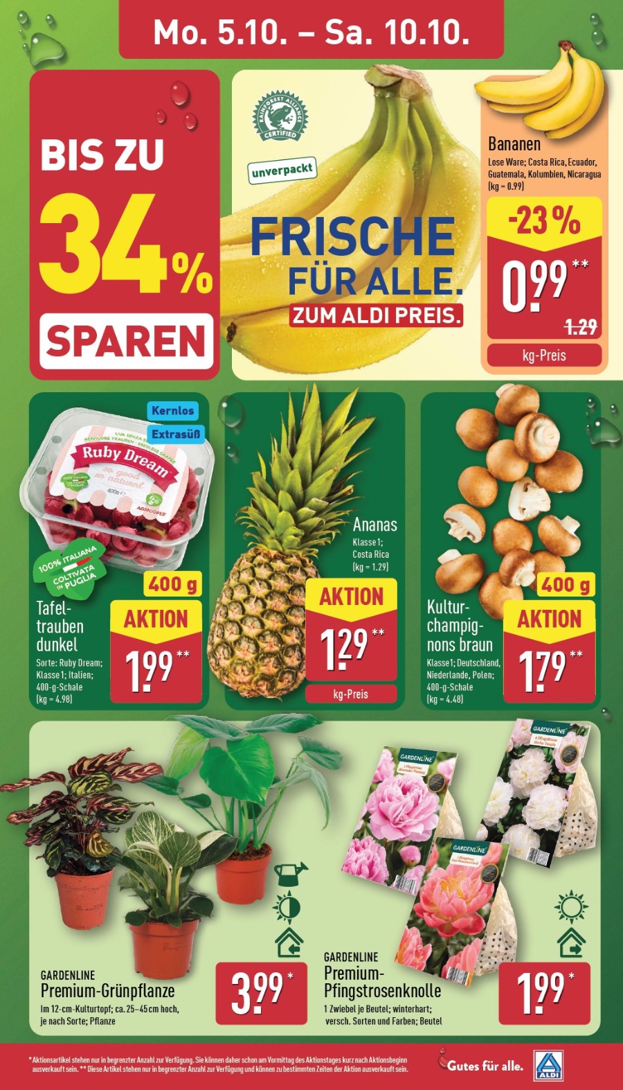 Aldi Nord Vorschau – Seite 3