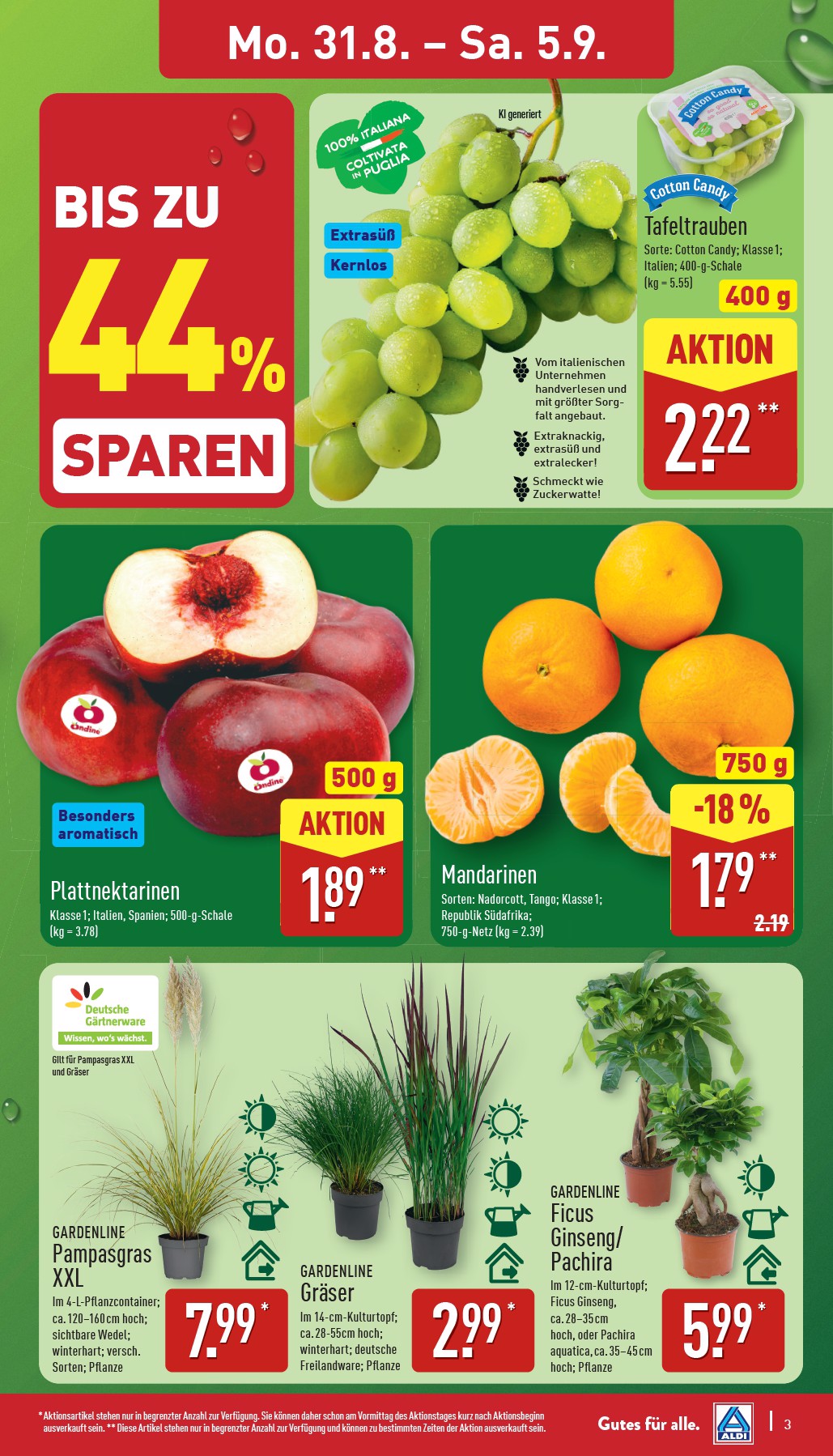 Aldi Nord Vorschau – Seite 3