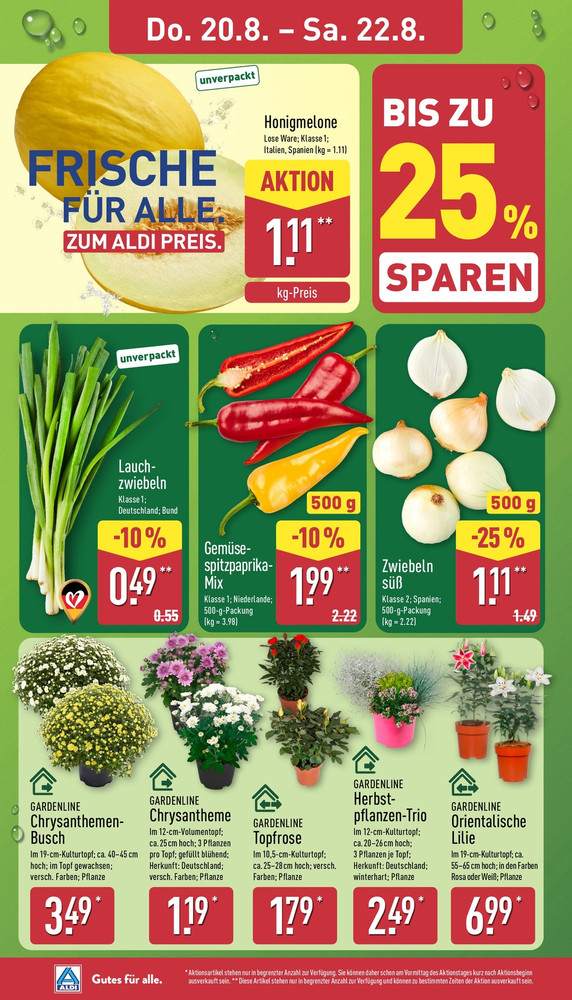 Aldi Nord Vorschau – Seite 26