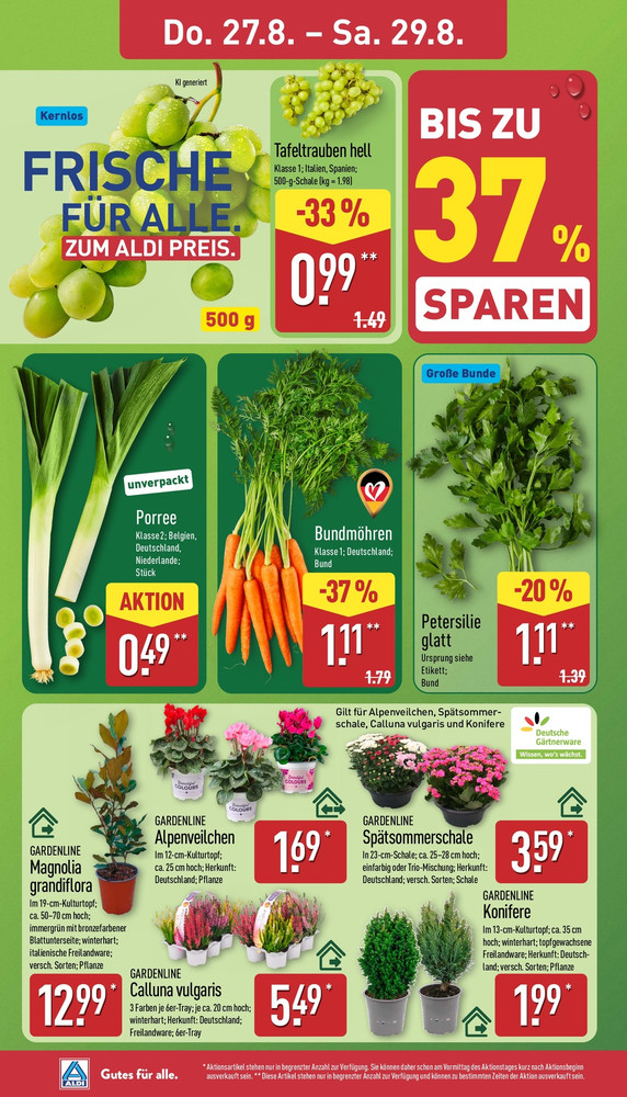 Aldi Nord Vorschau – Seite 26