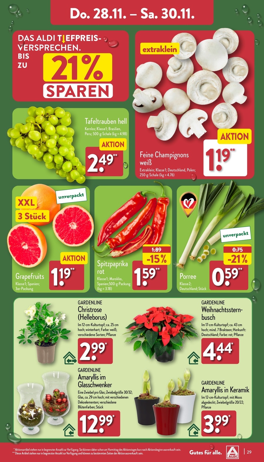 Aldi Nord Vorschau – Seite 29