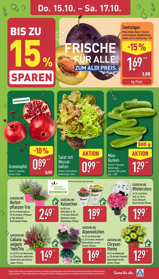 Aldi Nord Vorschau – Seite 29