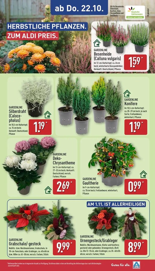 Aldi Nord Vorschau – Seite 29