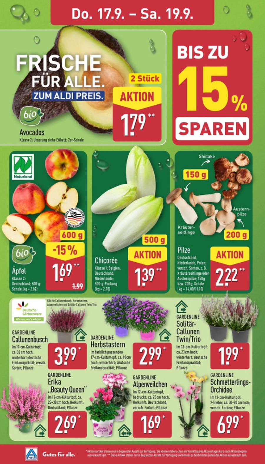 Aldi Nord Vorschau – Seite 30