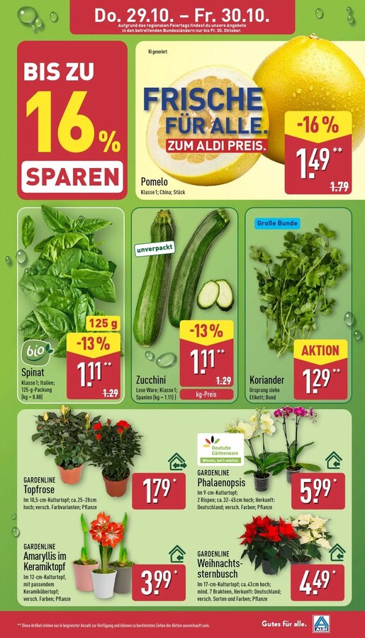 Aldi Nord Vorschau – Seite 32