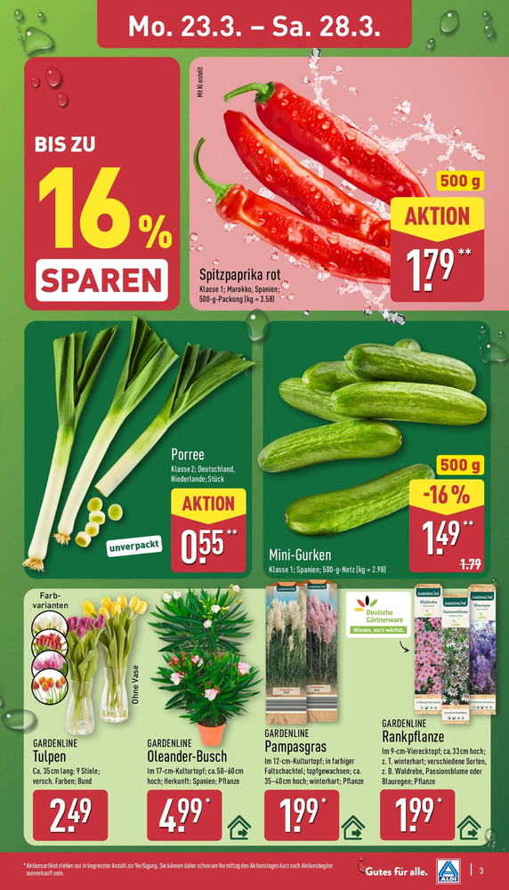Aldi Nord Prospekt – Seite 7