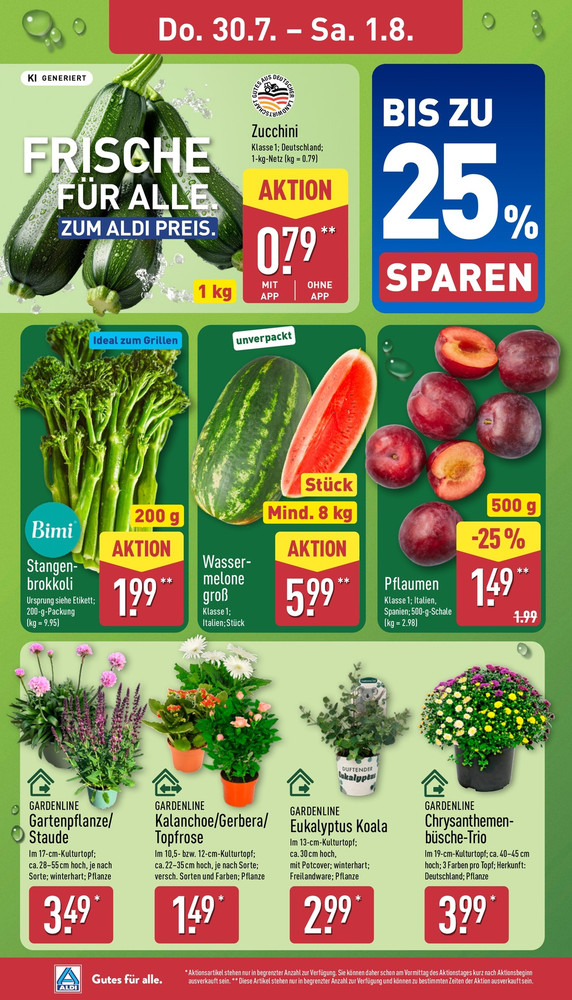 Aldi Nord Prospekt – Seite 32