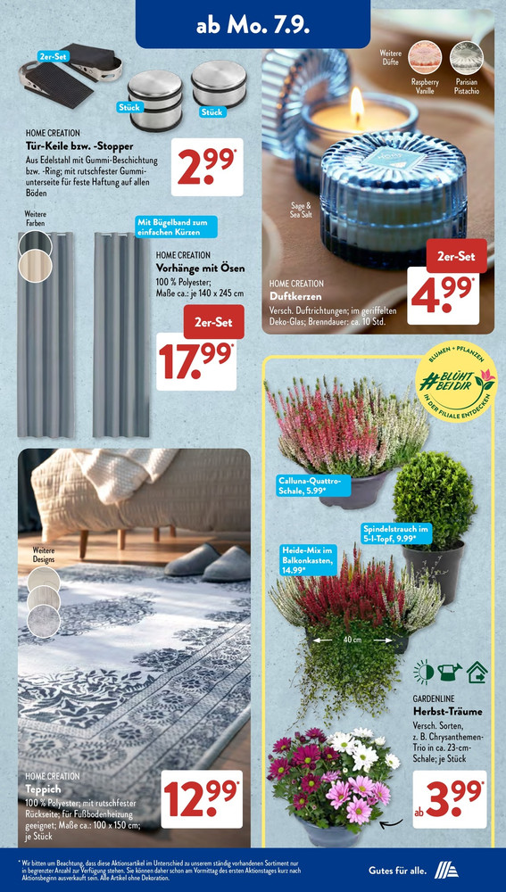 Aldi Süd Vorschau 2 – Seite 5