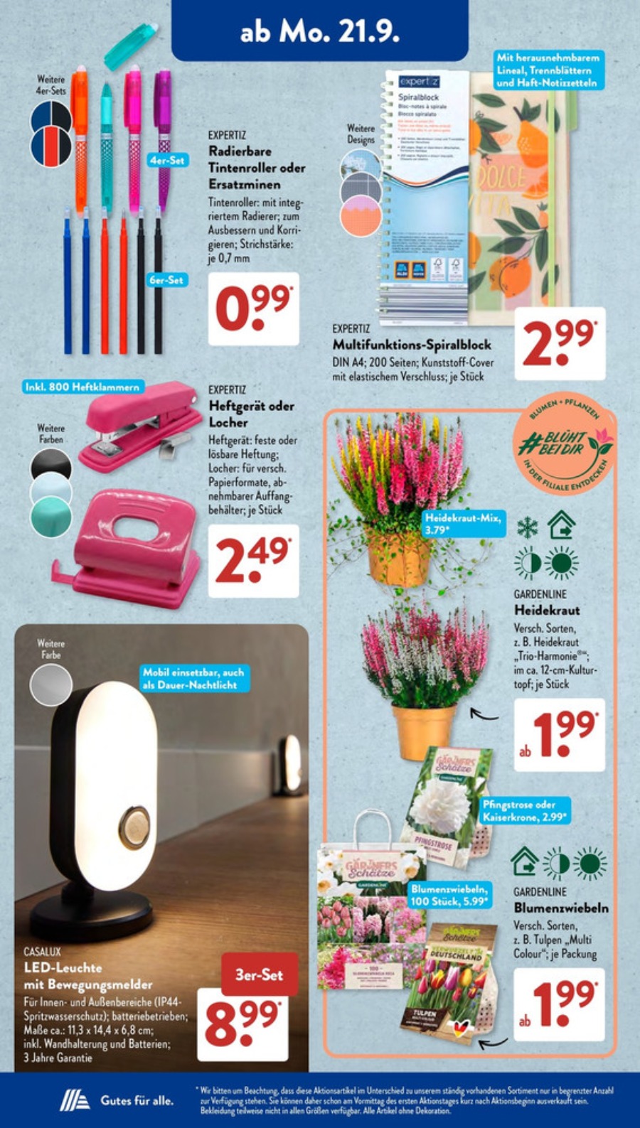 Aldi Süd Vorschau 2 – Seite 6