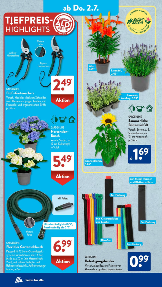 Aldi Süd Vorschau 2 – Seite 12
