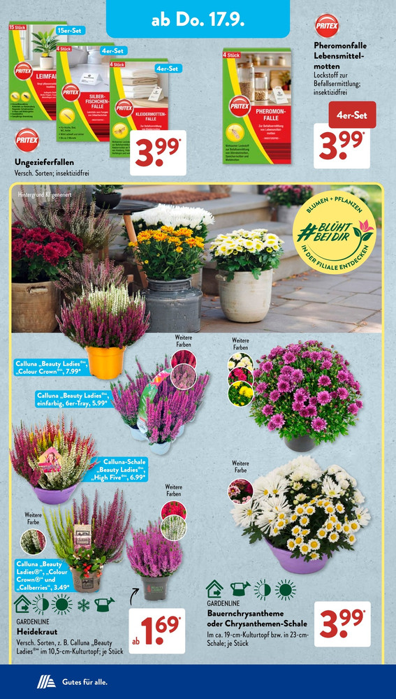 Aldi Süd Vorschau 2 – Seite 12