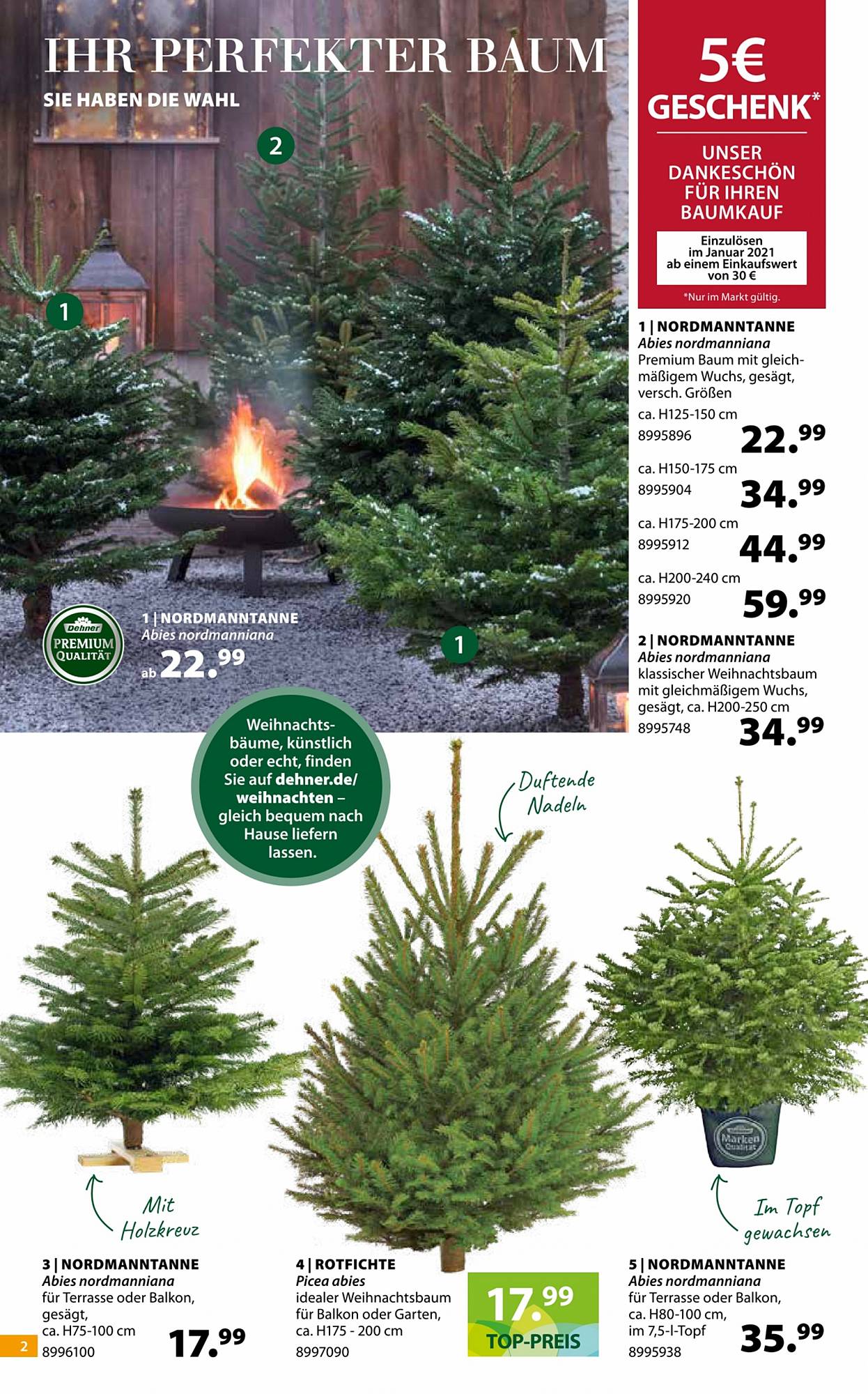 Dehner Prospekt – Seite 2