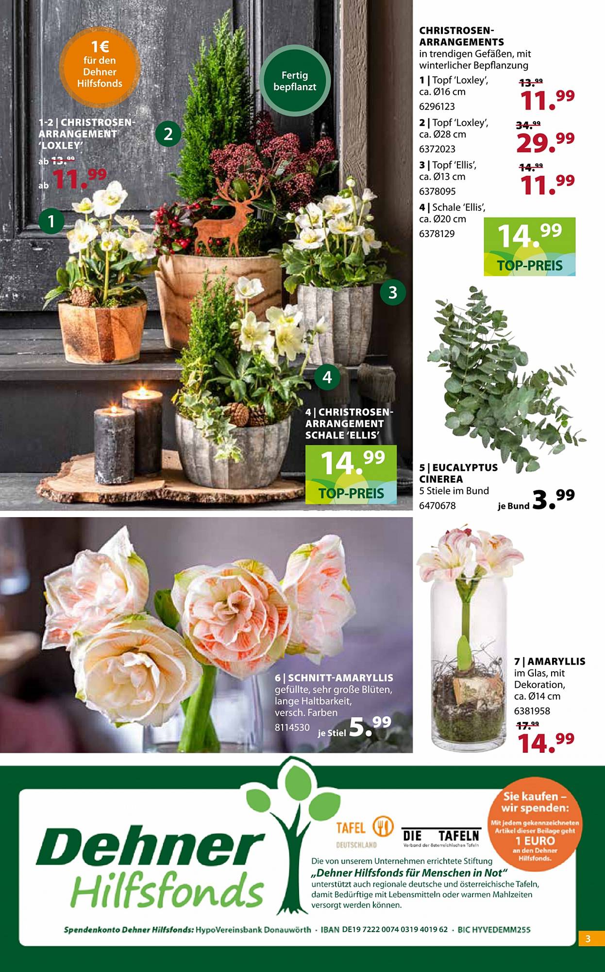 Dehner Prospekt – Seite 3