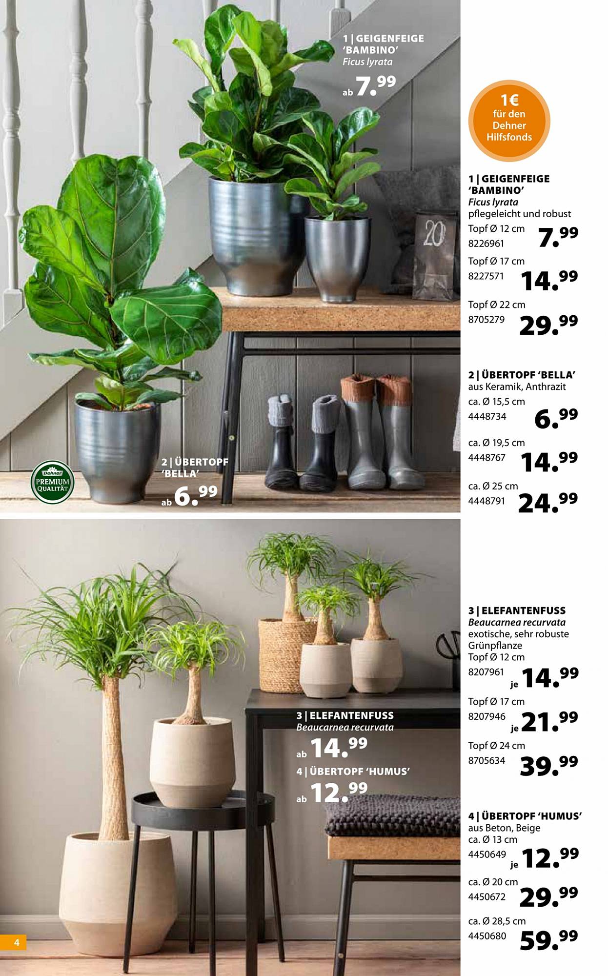 Dehner Prospekt – Seite 4