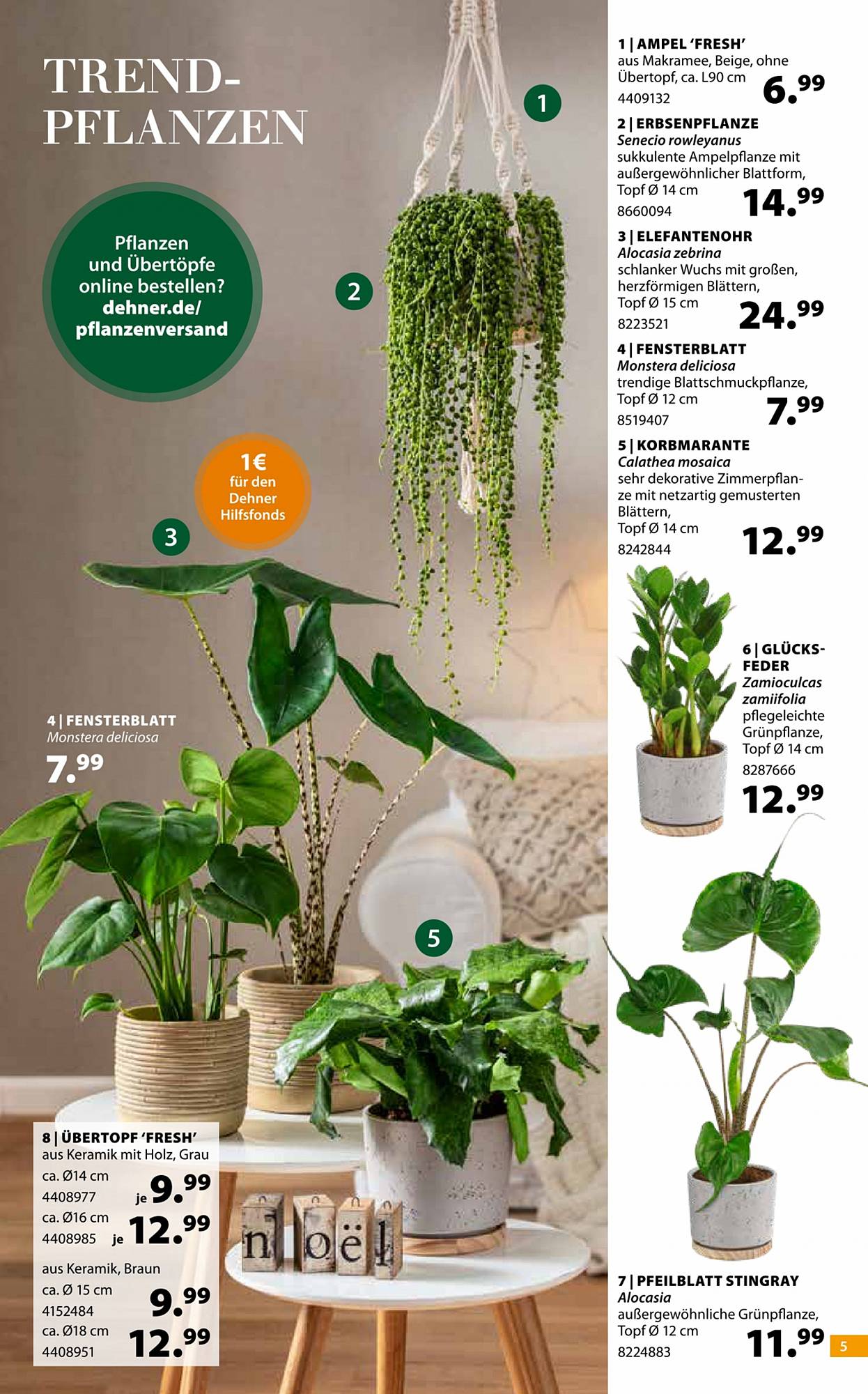 Dehner Prospekt – Seite 5