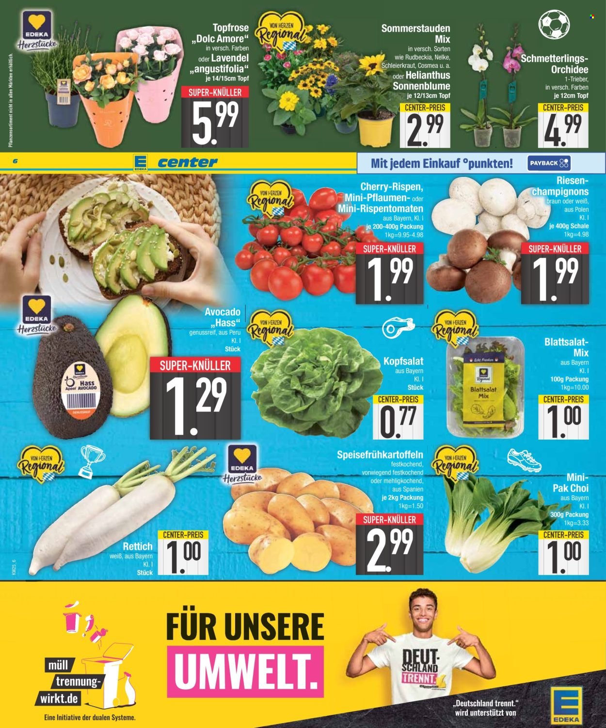 E-Center Prospekt – Seite 6