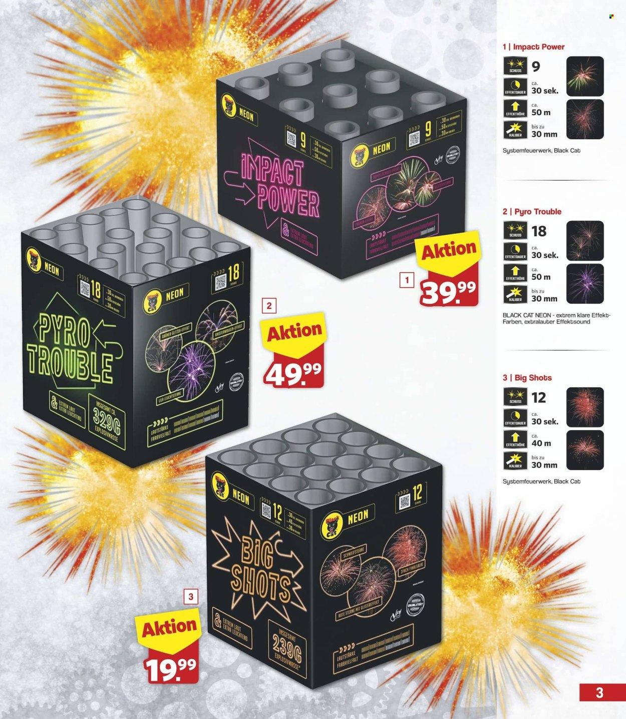 famila Silvester – Seite 3
