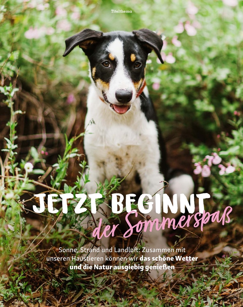 Fressnapf Magazin – Seite 11