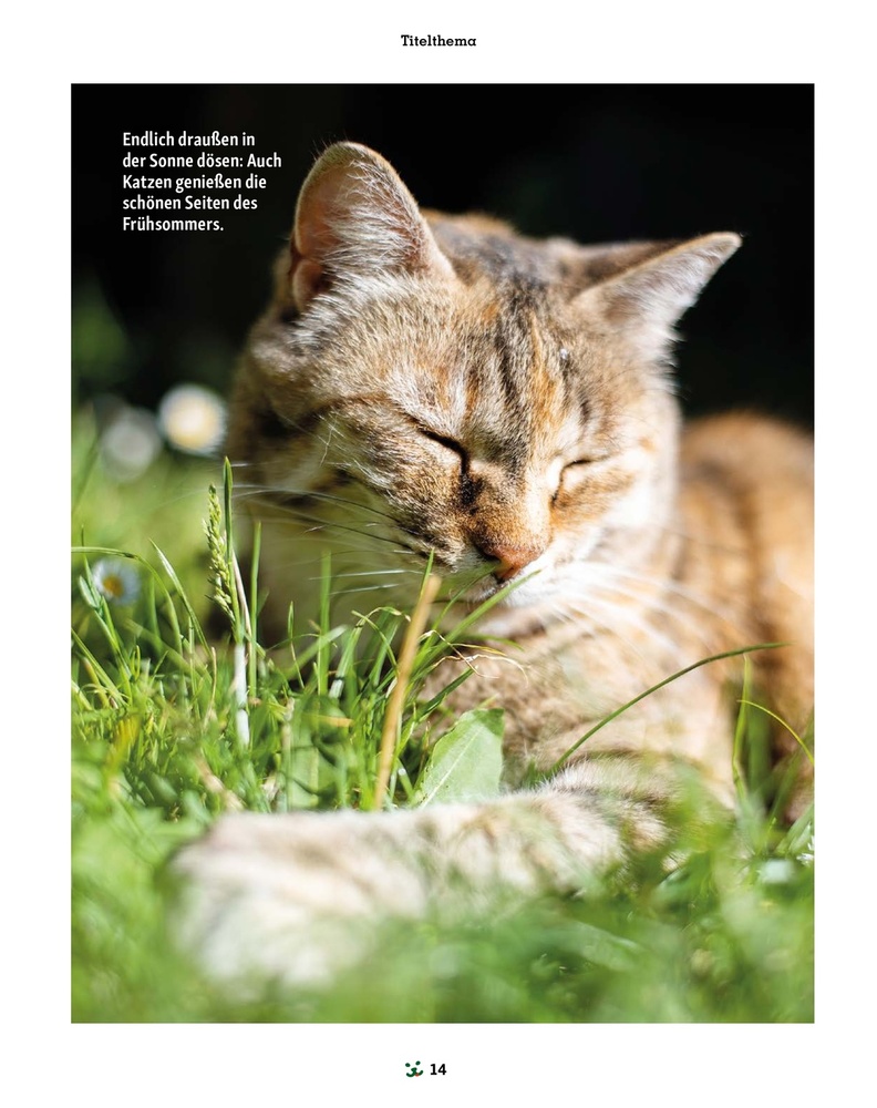 Fressnapf Magazin – Seite 14