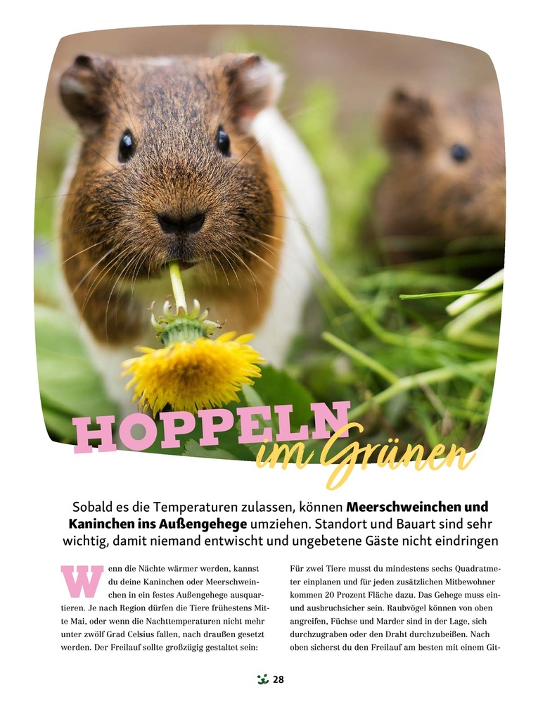 Fressnapf Magazin – Seite 28