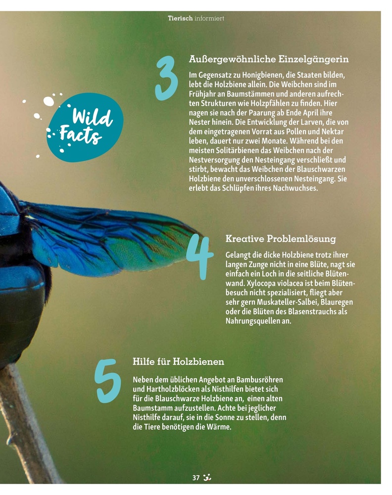 Fressnapf Magazin – Seite 37
