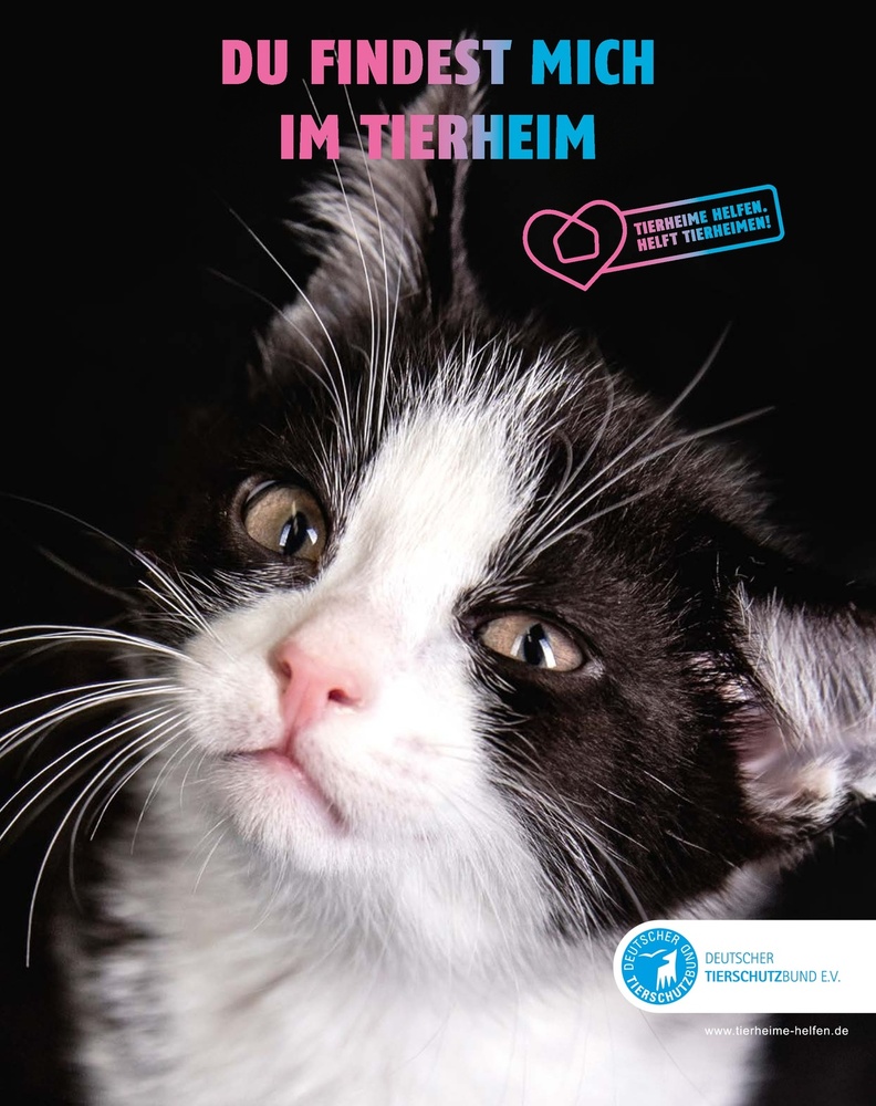 Fressnapf Magazin – Seite 45
