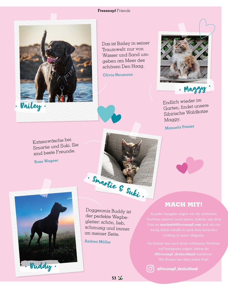 Fressnapf Magazin – Seite 53