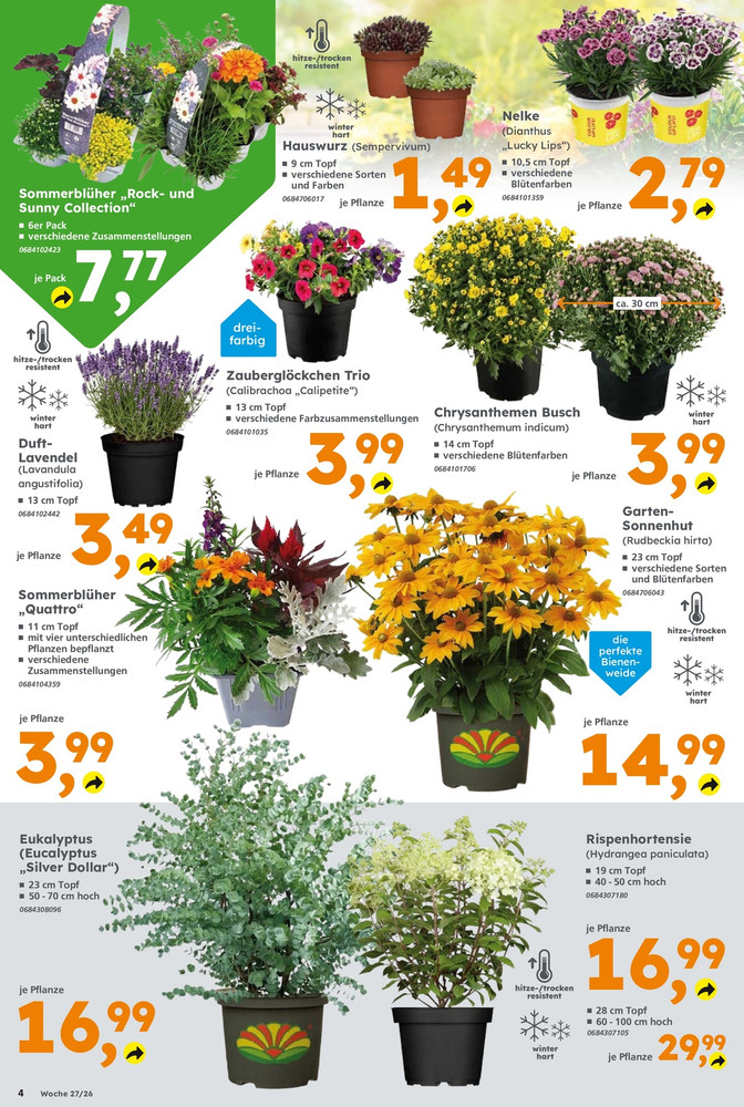 GLOBUS Baumarkt Prospekt – Seite 4