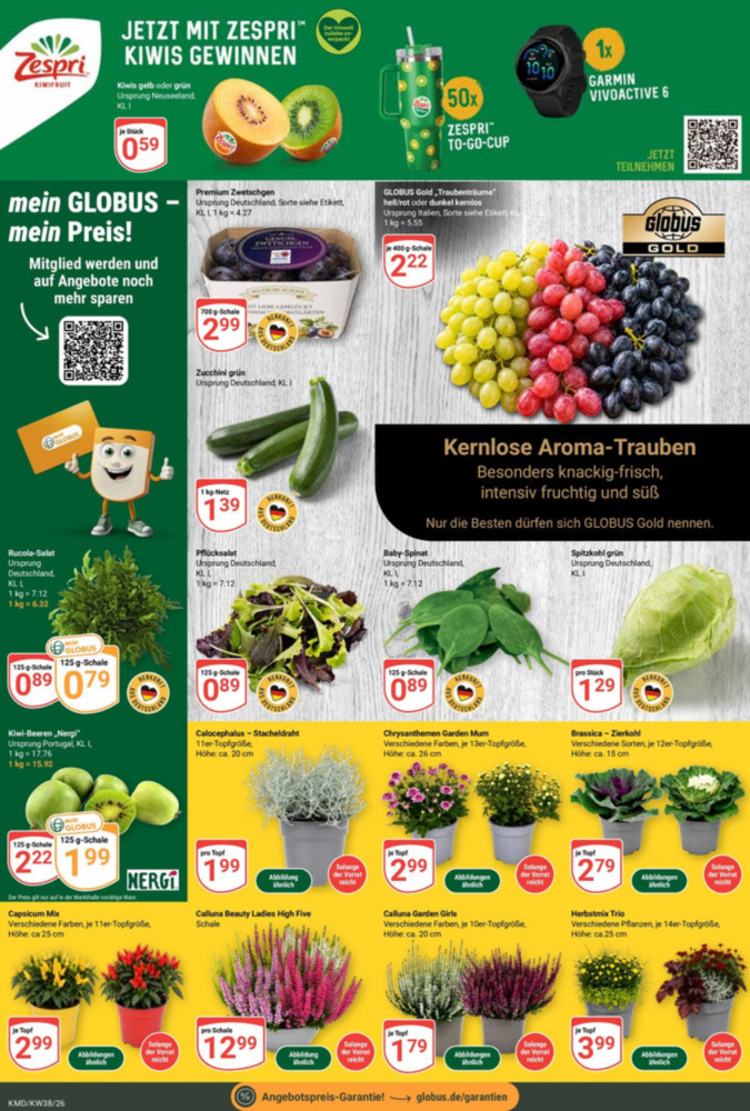 GLOBUS Prospekt – Seite 5