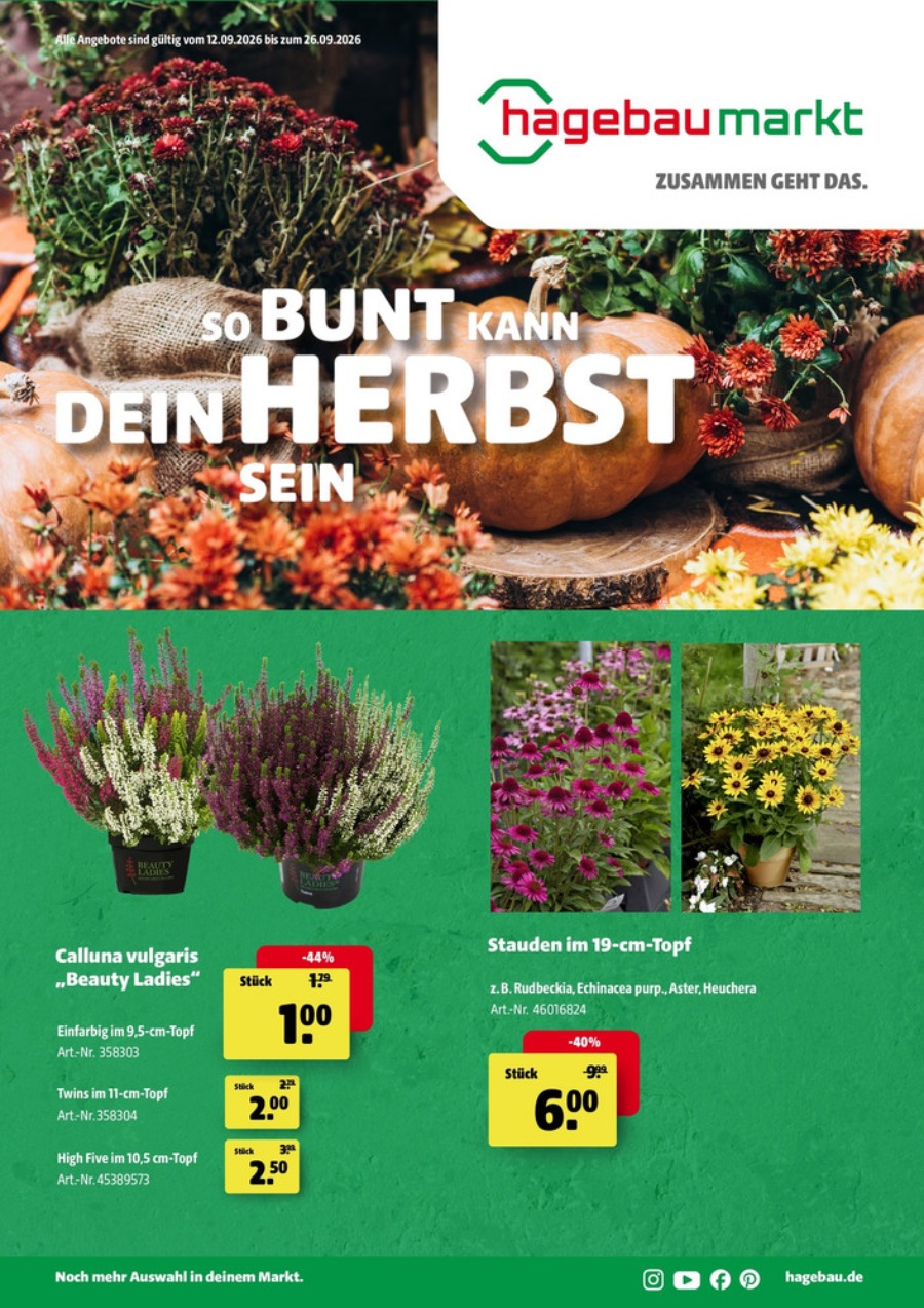 Hagebaumarkt Prospekt – Seite 1