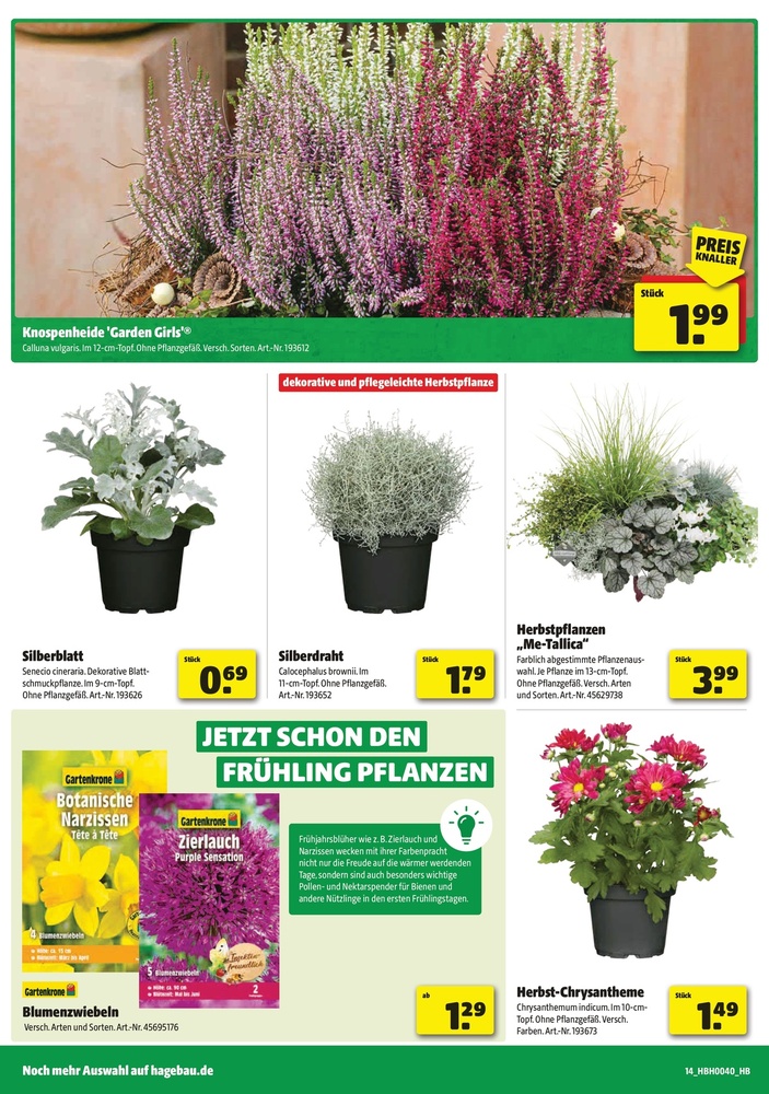 Hagebaumarkt Prospekt – Seite 15