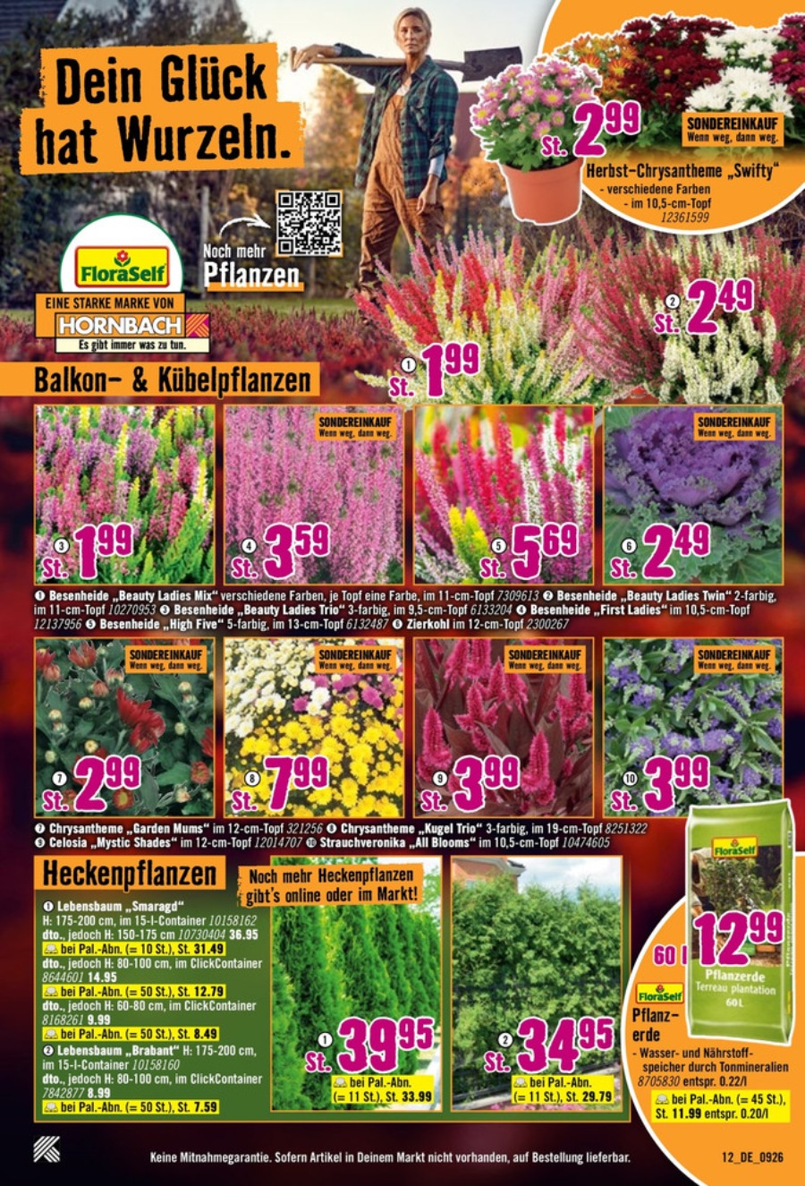 Hornbach Prospekt – Seite 12