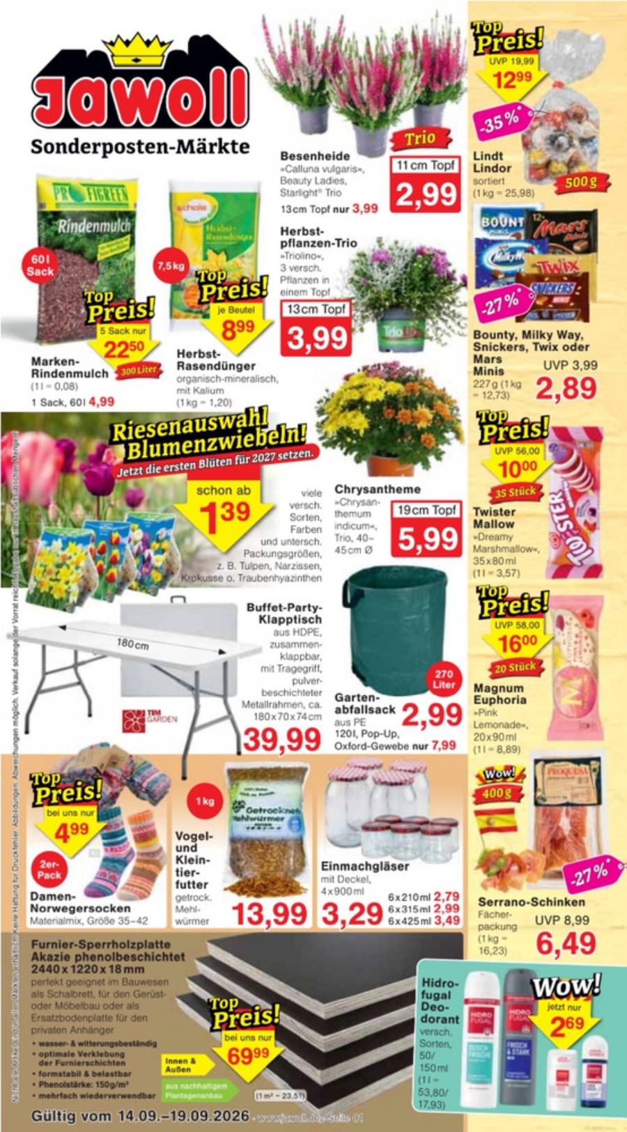 JAWOLL Prospekt – Seite 1