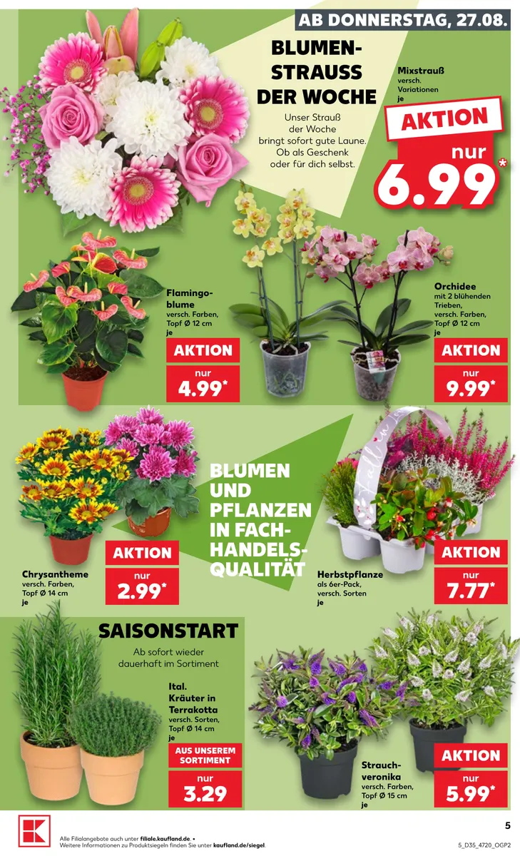 Kaufland Vorschau – Seite 5