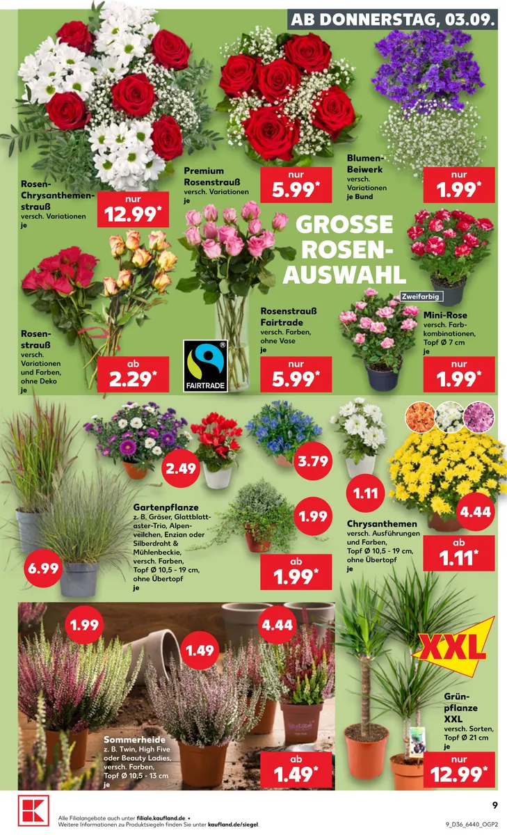 Kaufland Vorschau – Seite 9