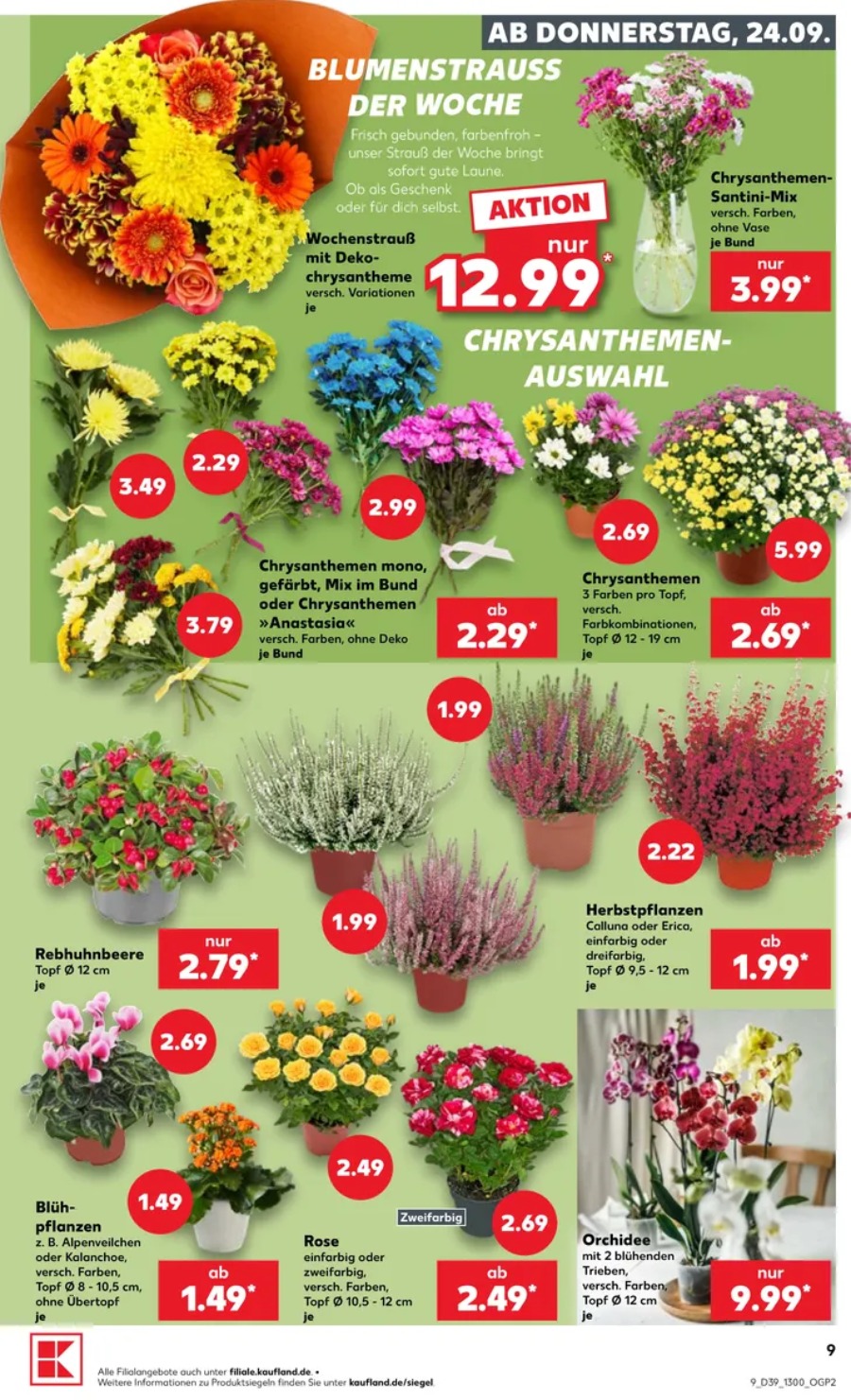 Kaufland Vorschau – Seite 9