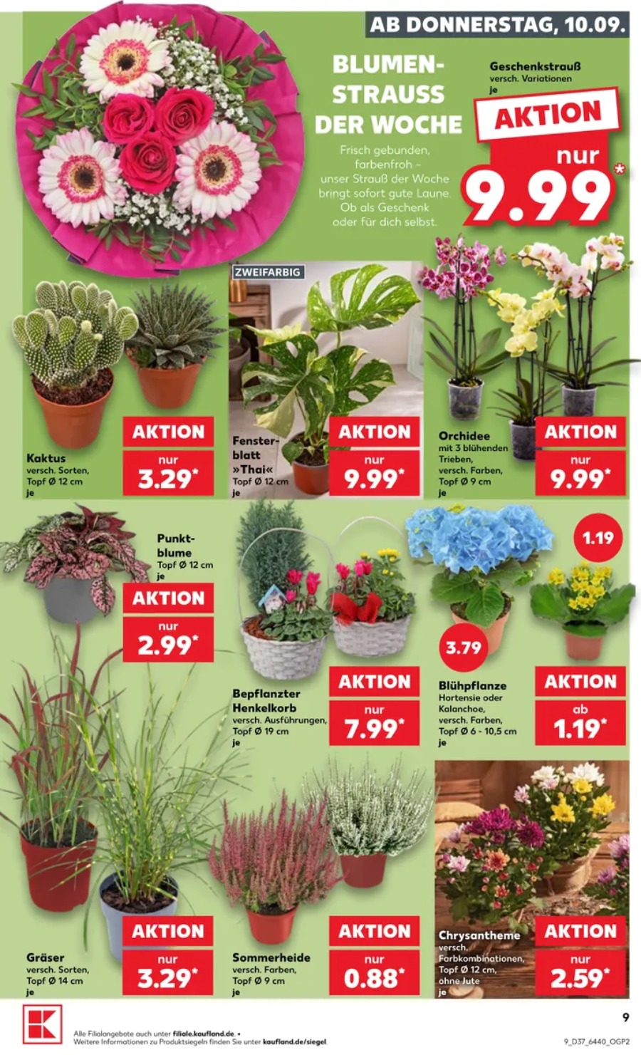 Kaufland Vorschau – Seite 9