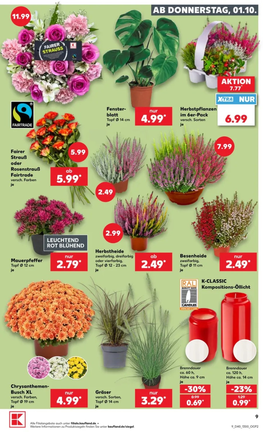 Kaufland Vorschau – Seite 13