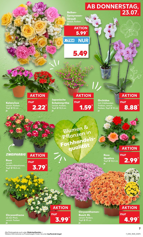 Kaufland Prospekt – Seite 7