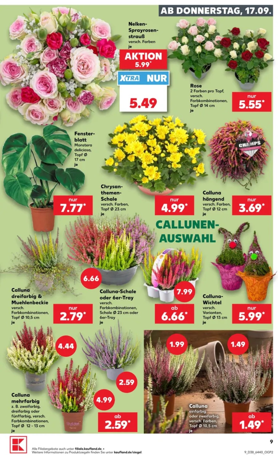 Kaufland Prospekt – Seite 9