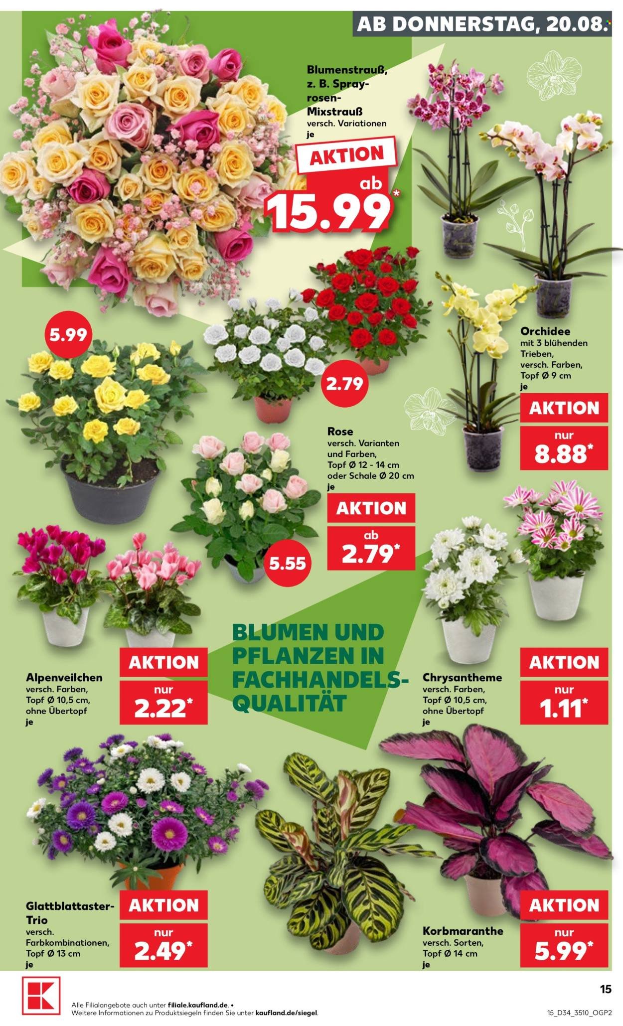 Kaufland Prospekt – Seite 15