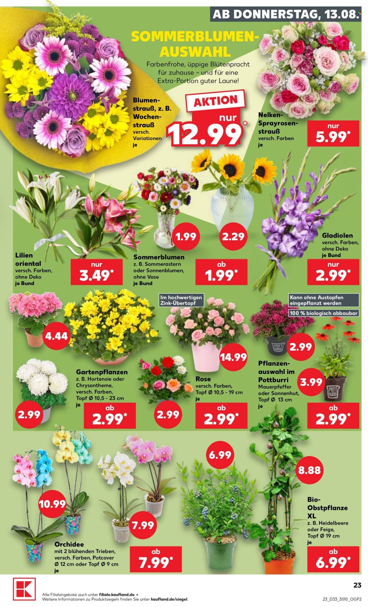 Kaufland Prospekt – Seite 23
