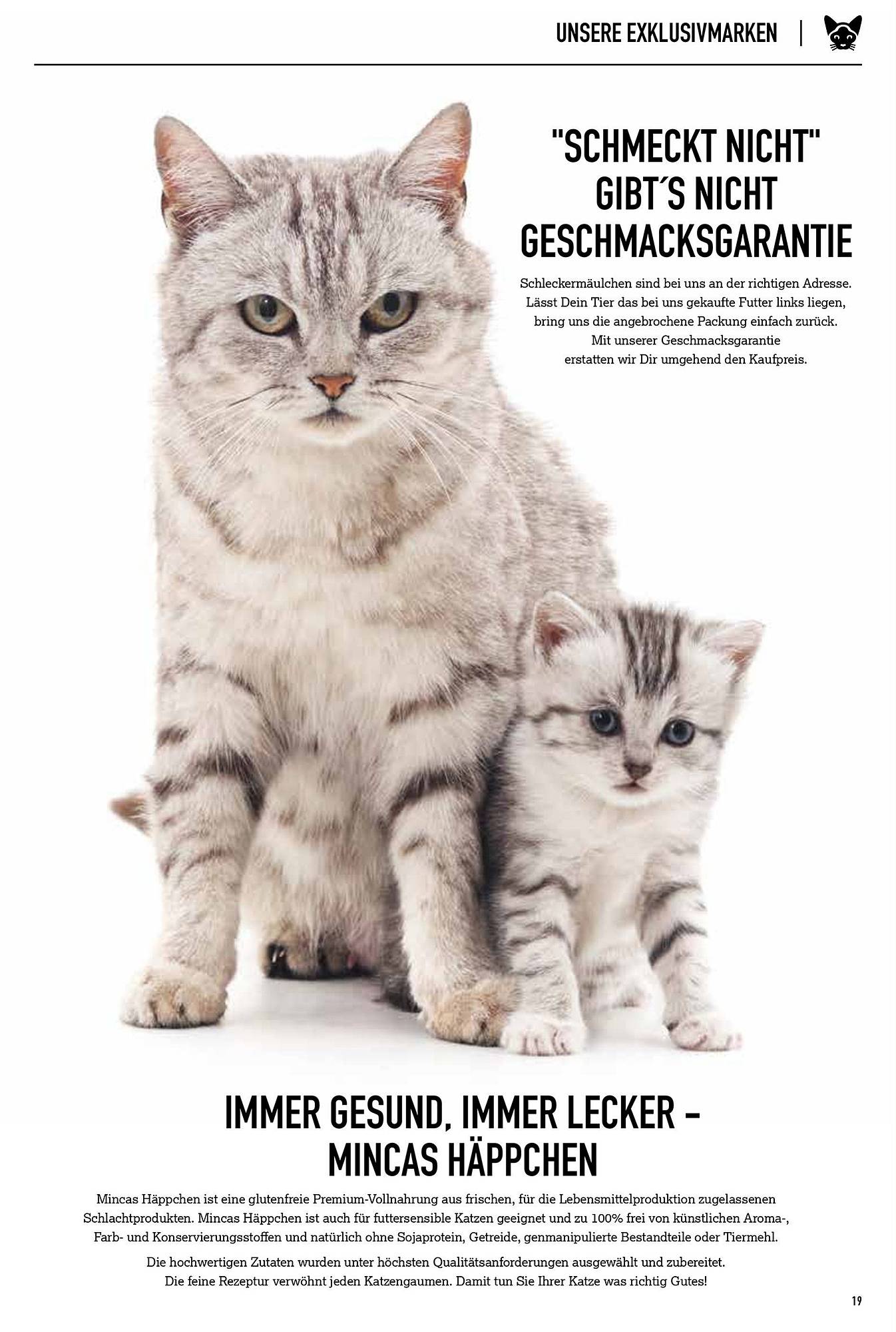Kölle Zoo Prospekt – Seite 19