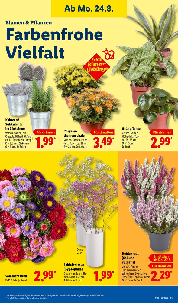 Lidl Vorschau – Seite 15