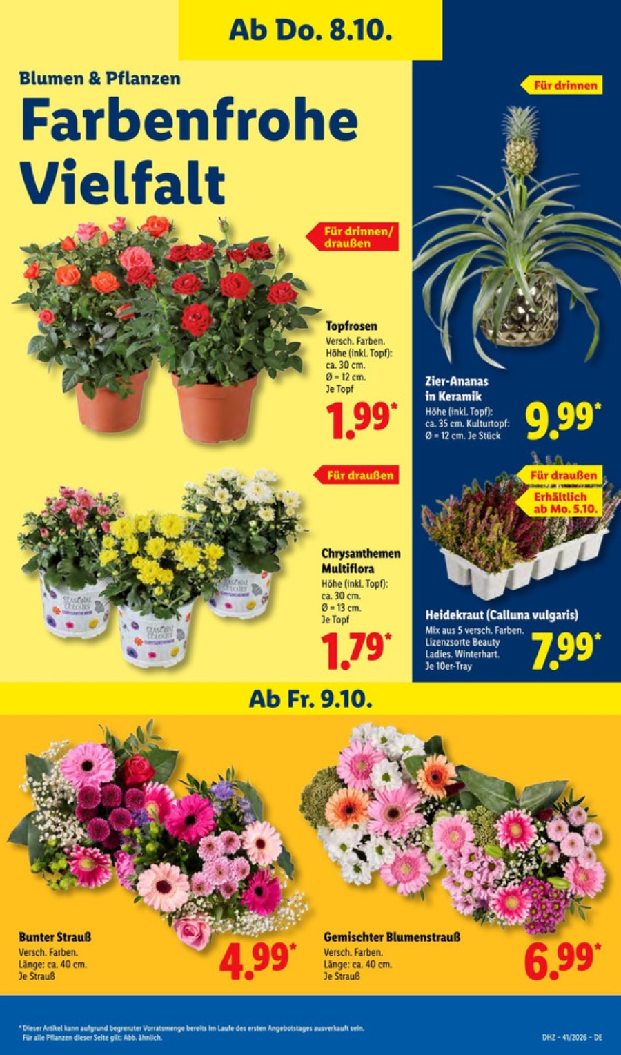 Lidl Vorschau – Seite 17