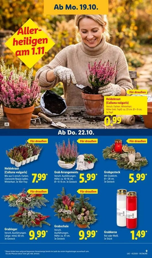 Lidl Vorschau – Seite 17