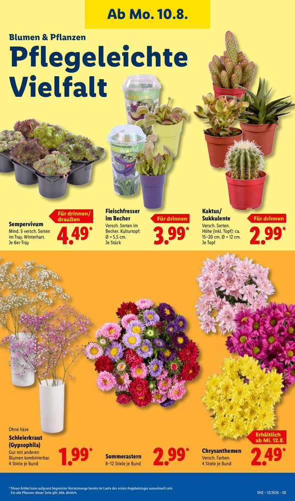 Lidl Vorschau – Seite 23